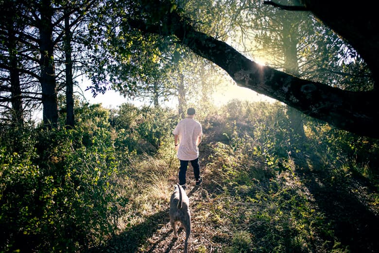 Akomplice 2015 Summer “Life” ルックブック