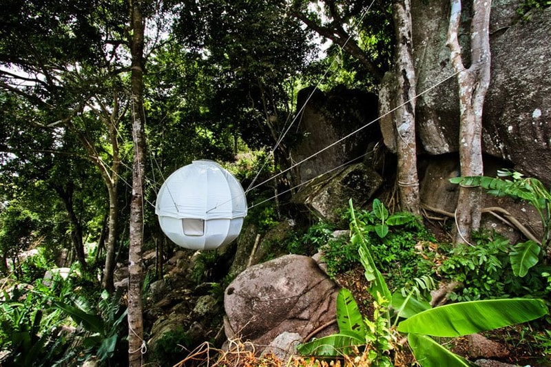 球体型テント Cocoon Tree