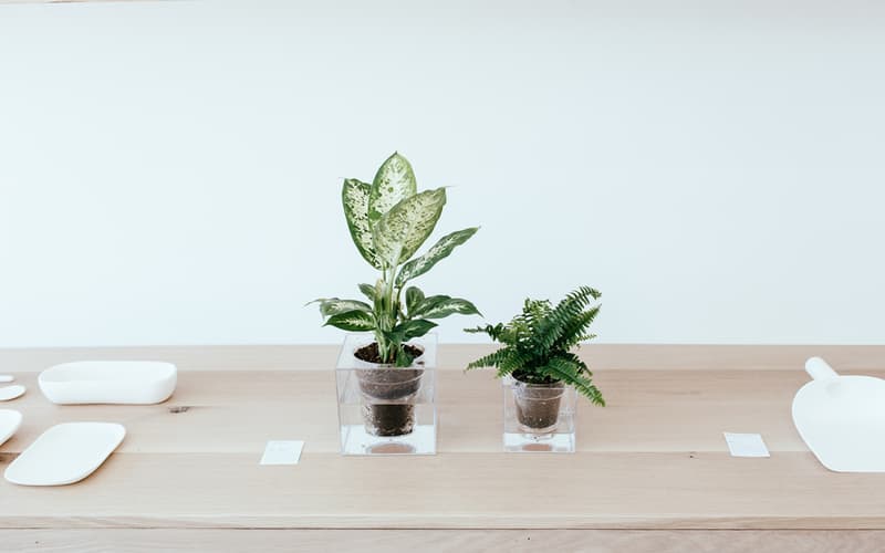 ライフスタイルショップ『Formerly Yes』が LA にオープン