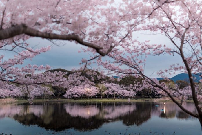 情緒ある写真に描かれた、静かな日本の風景