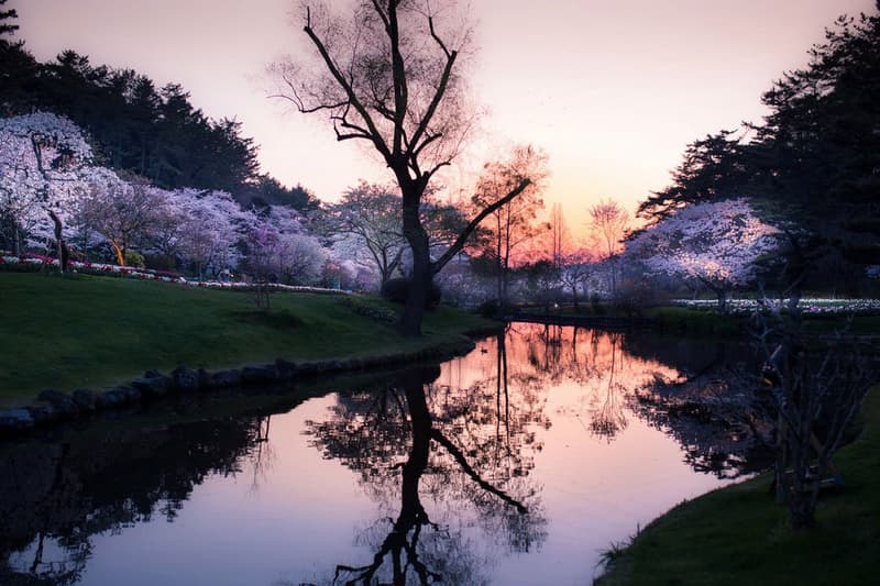 情緒ある写真に描かれた、静かな日本の風景