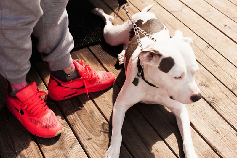 Stance 2015 Summer ANTHEM コレクション