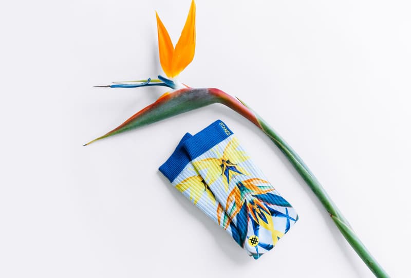 Stance 2015 Summer ANTHEM コレクション