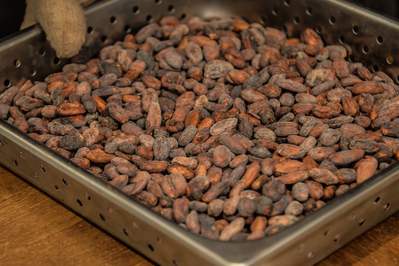 Eats: Minimal - Bean to Bar Chocolate
