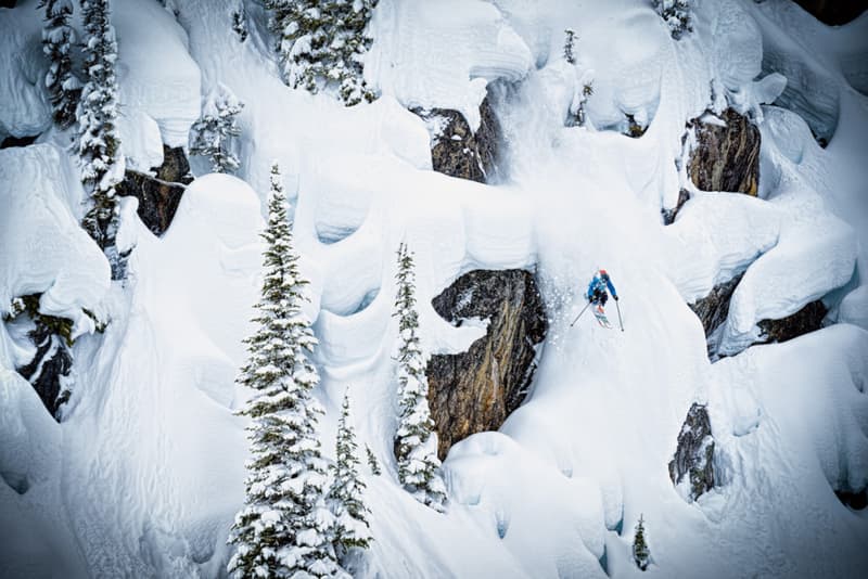 Patagonia が制作するショートフィルム“Jumbo Wild: The Movement”