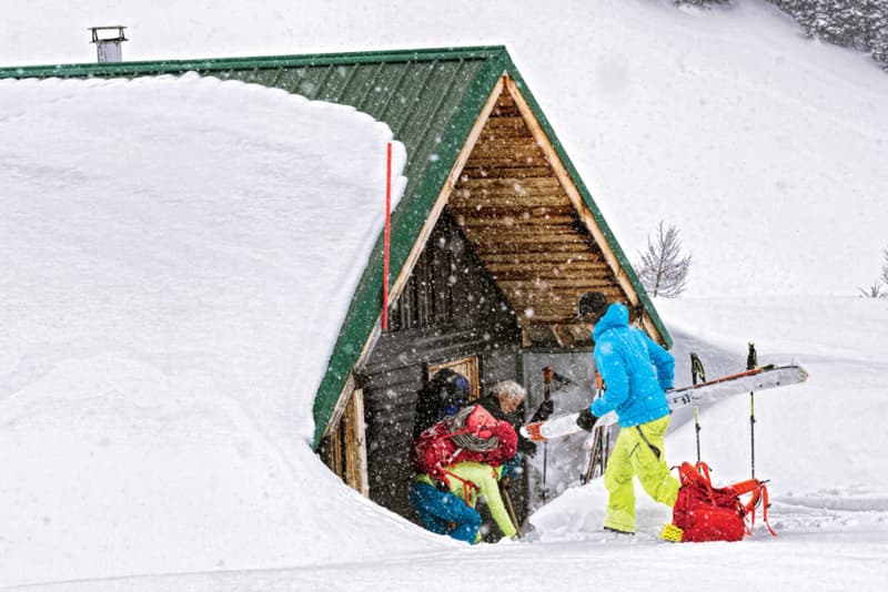 Patagonia が制作するショートフィルム“Jumbo Wild: The Movement”