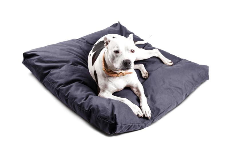 Tanner Goods のドッグ用コレクション