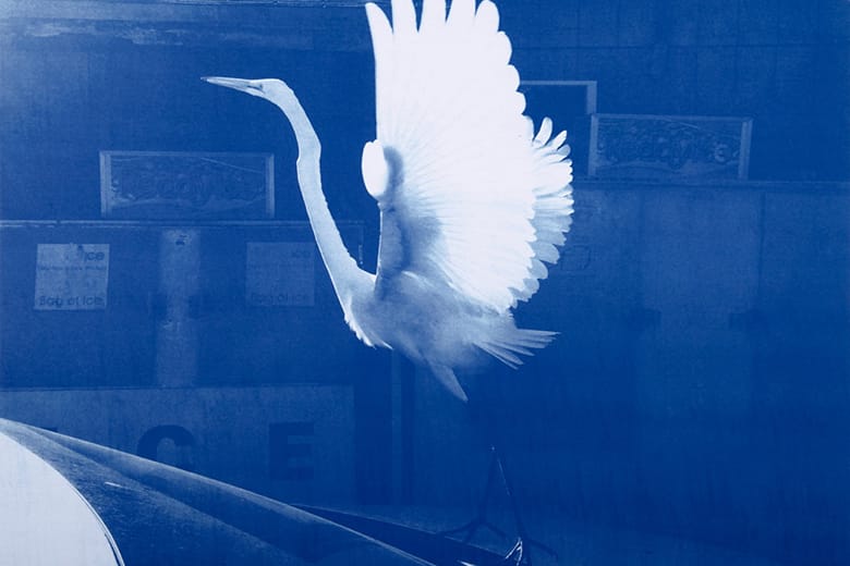 Tim Barber の個展“Blues”が『Yuka Tsuruno gallery』にて開催