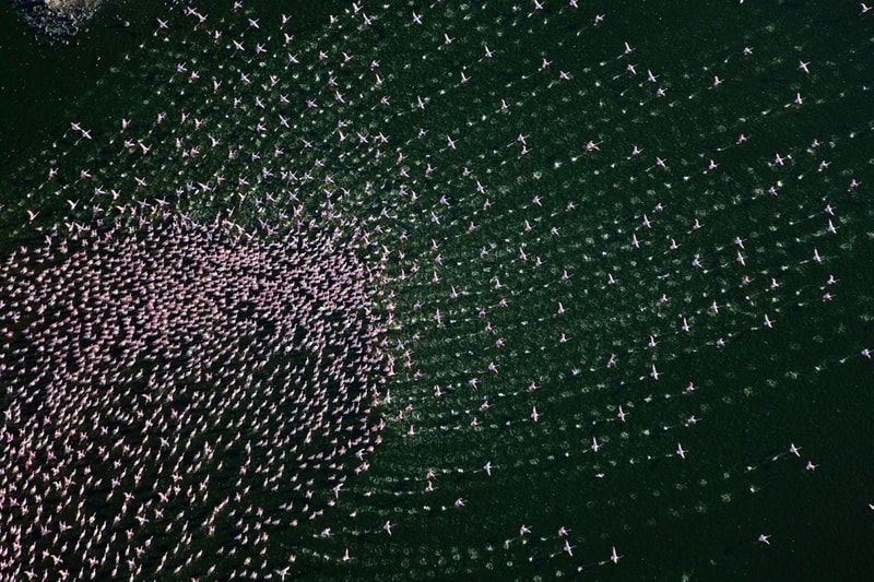 National Geographic Daily Travel Photo: Best of 2015