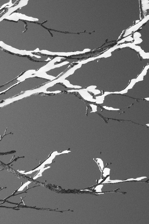 BURTON THIRTEEN 2016 Fall/Winter ルックブック