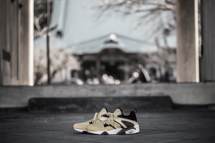 PUMA BLAZE OF GLORY for monkey time “SECULAR CHANGE”