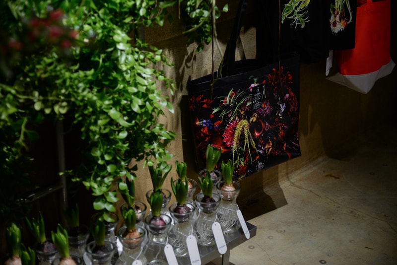 花屋『AMKK』@ the POOL aoyama