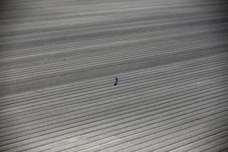 Sony World Photography Awards 2016 の選抜候補作品が発表