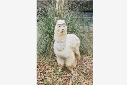 UNITED ARROWS & SONS 『SONS MAGAZINE ISSUE 2』