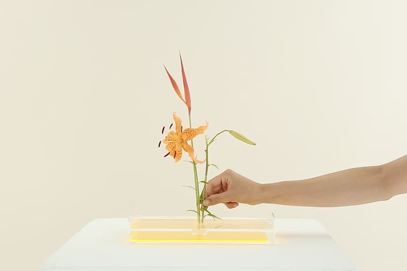 Gallery ASTRAET “Plantica”