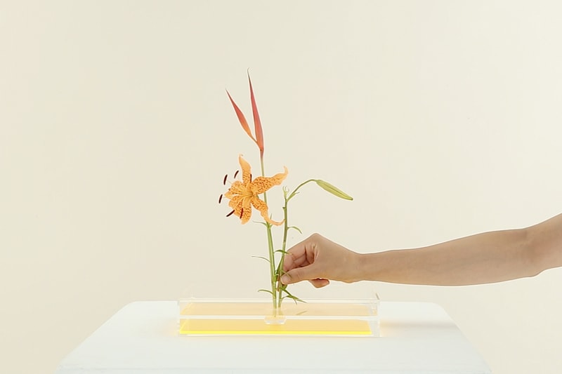 Gallery ASTRAET “Plantica”