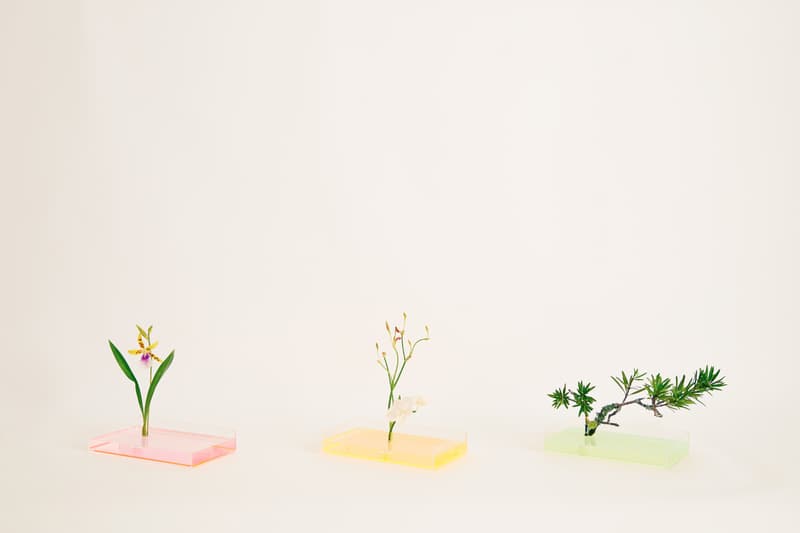 Gallery ASTRAET “Plantica”