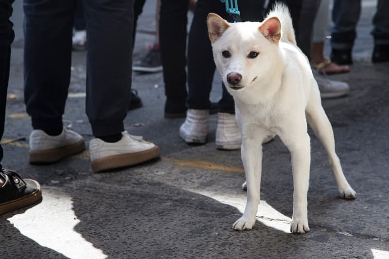 Drake が仕掛けた “Views From the 6” Pop-Up Shop @ NYC