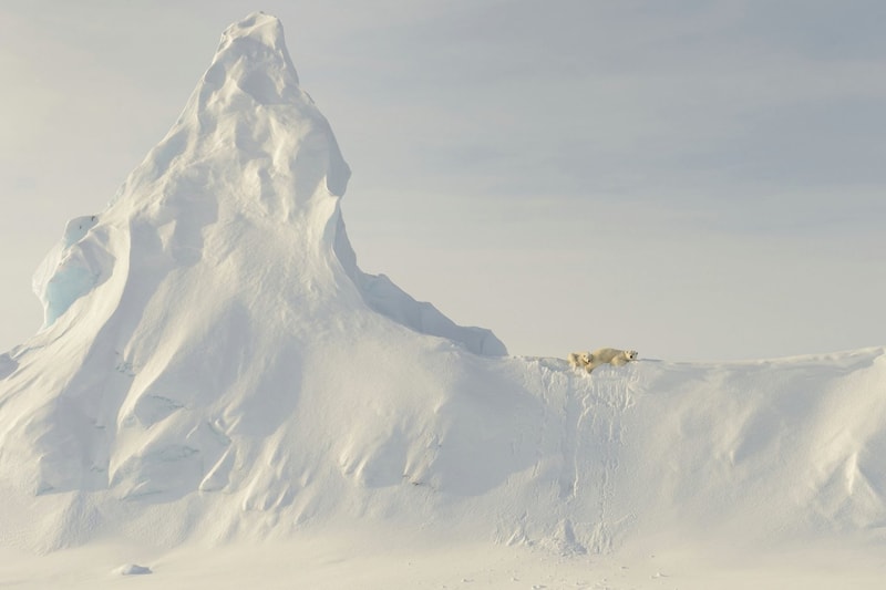 National Geographic の Best Travel Photographs 2016 が発表