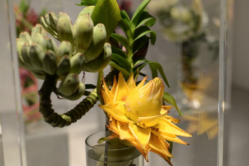 花にまつわるエキシビジョン “Flower Huddle” をレポート