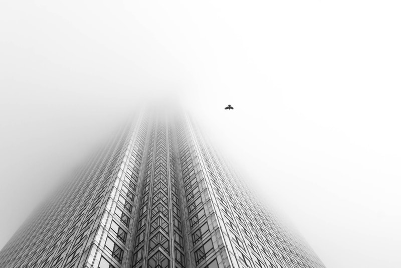 British Wildlife Photography Awards 2016 受賞作品