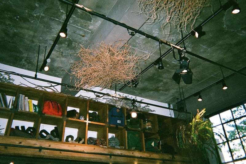 Life With nonnative