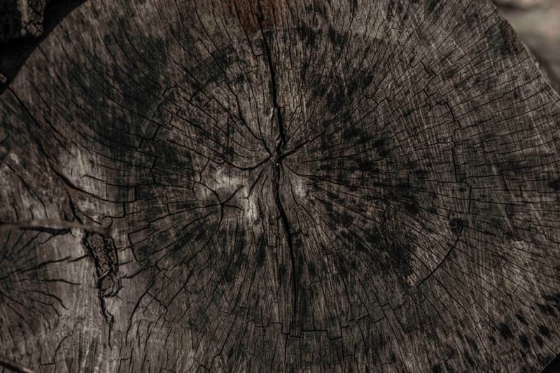 The Letters 2016 Fall/Winter ルックブック