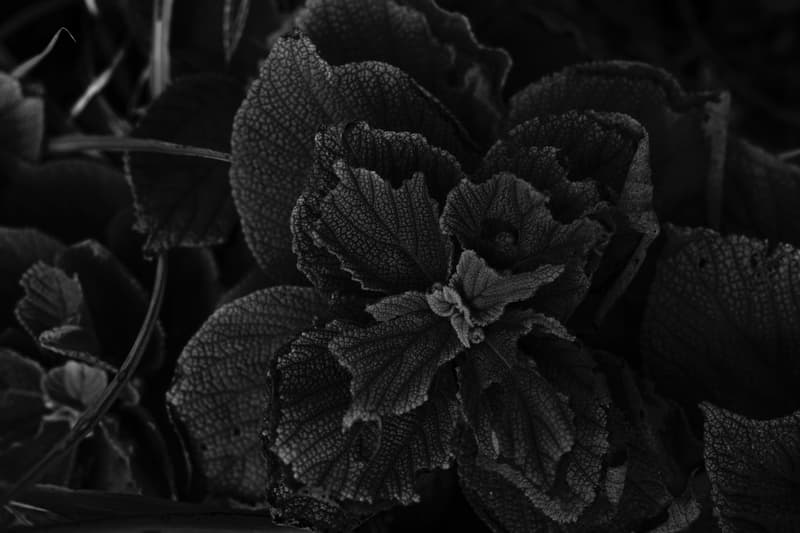 The Letters 2016 Fall/Winter ルックブック