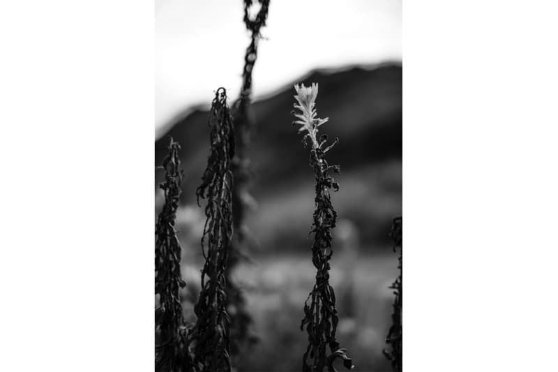 The Letters 2016 Fall/Winter ルックブック