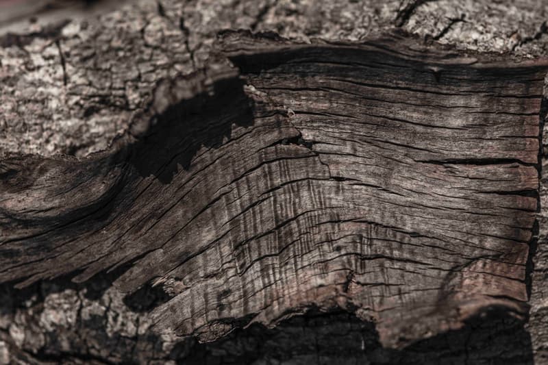 The Letters 2016 Fall/Winter ルックブック