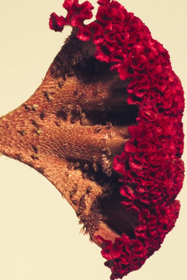 スニーカーショップ A+S にて初となるインスタレーション “秋光彩々” が開催