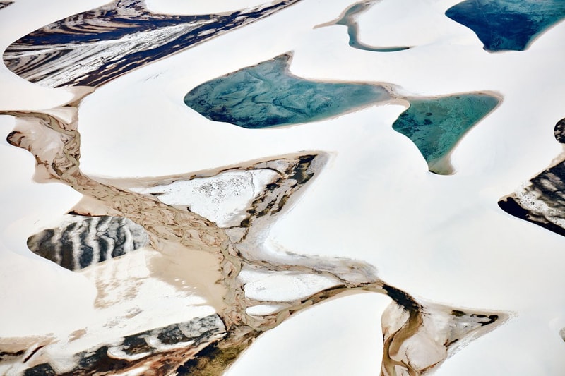 Wildlife Photographer of the Year 2016 のグランプリが発表