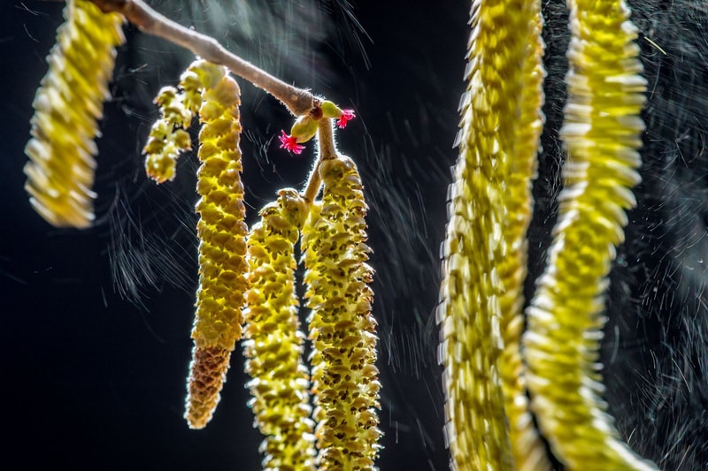 Wildlife Photographer of the Year 2016 のグランプリが発表