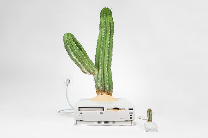 アップル　植物アート