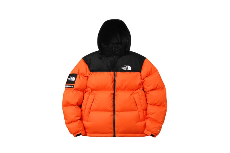 Supreme  The North Face 2016年秋コレクション fall