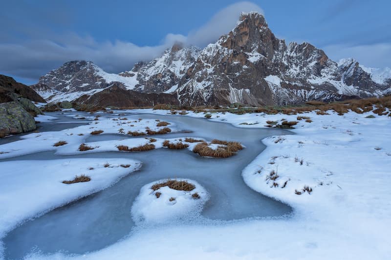 Nature Photographer of the Year 2016 受賞作品