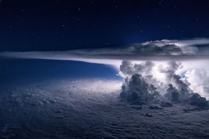 Nature Photographer of the Year 2016 受賞作品