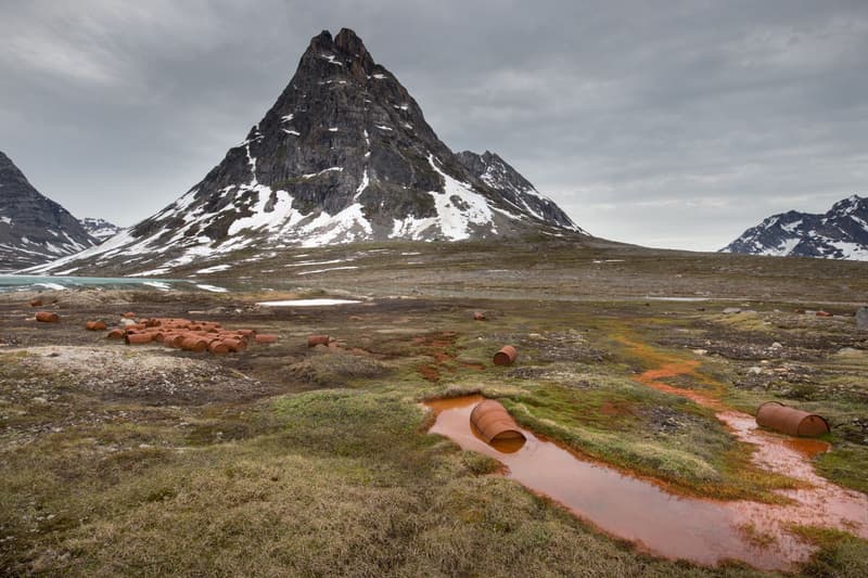 Nature Photographer of the Year 2016 受賞作品