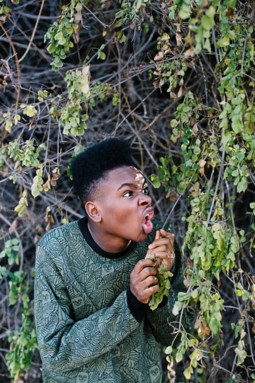 RIPNDIP 2016年ホリデーコレクション ルックブック