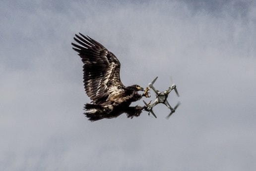 米『Time』誌が選ぶ、2016年の写真 TOP 100