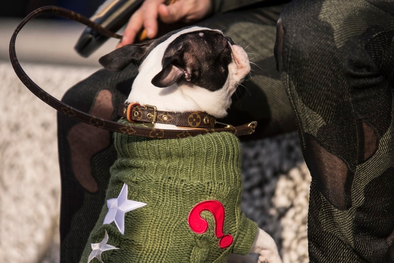 pitti uomo street snaps