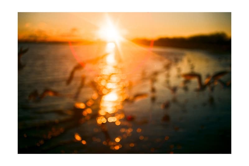 VAINL ARCHIVE と写真家・小浪次郎による写真集 footprints