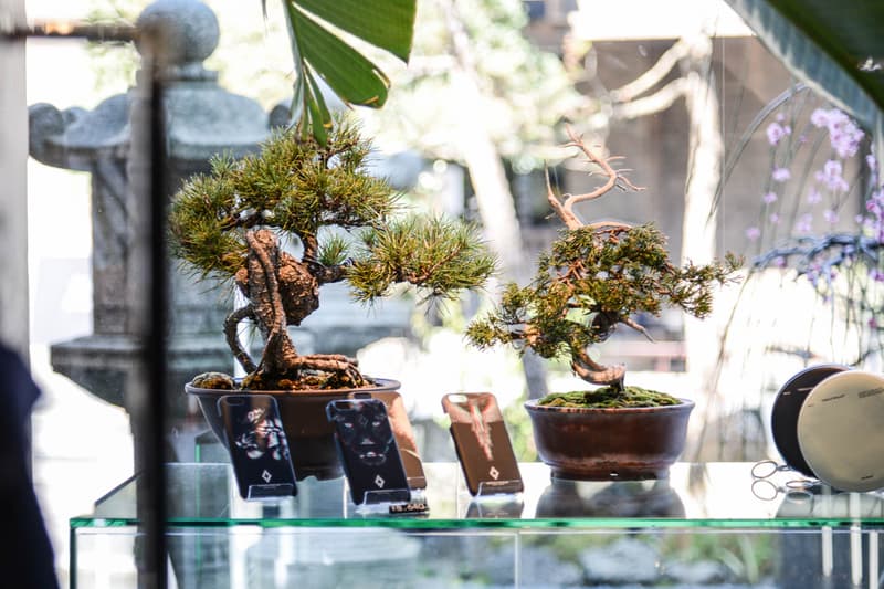 原宿 GR8 がリニューアル：Laforet に和の庭園が出現