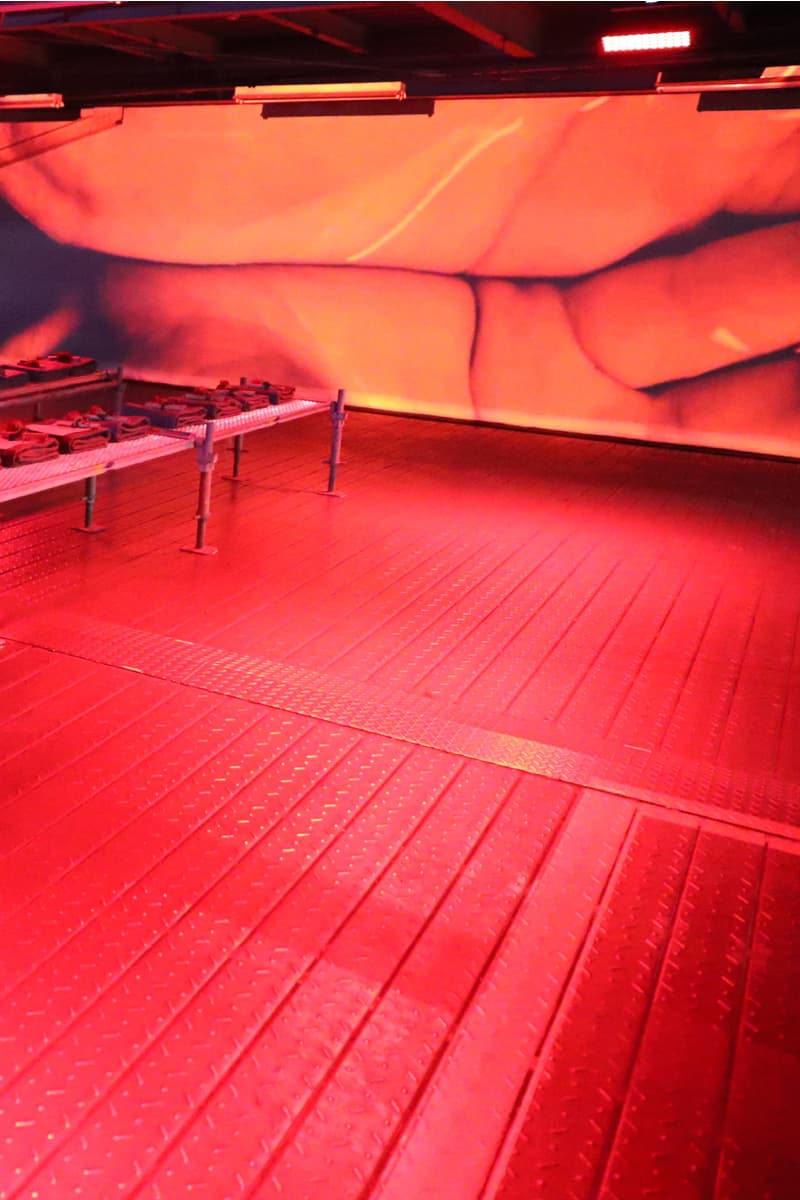 Growing Pains 2017年秋冬コレクション