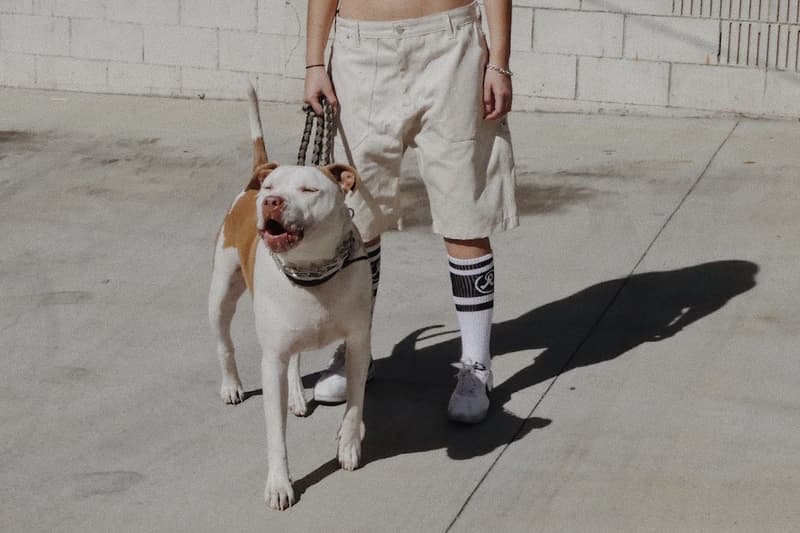 Richardson リチャードソン