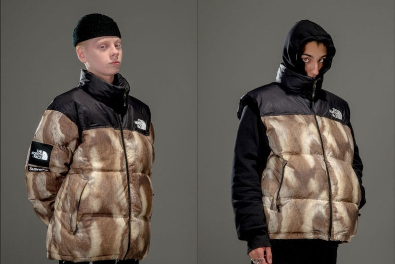 Supreme x The North Face 　エディトリアル　Gully Guy Leo