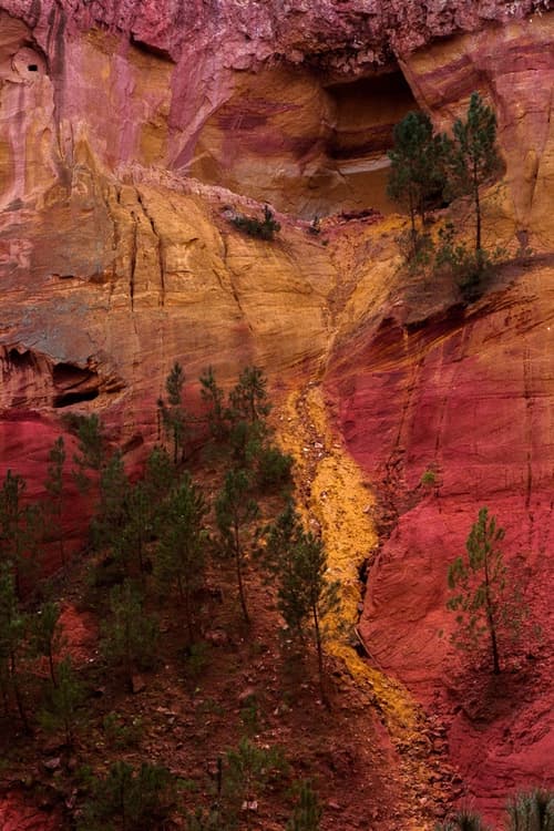 フランス発の気鋭レーベル sansnom. が2017年春夏ルックブックを公開