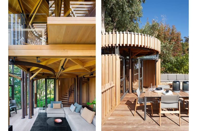 ケープタウンの森を一望できる Malan Vorster のツリーハウス