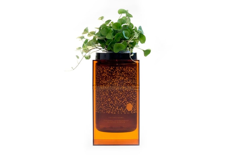 Futurefarms の Spacepot で自家水耕栽培ハーブを育てよう