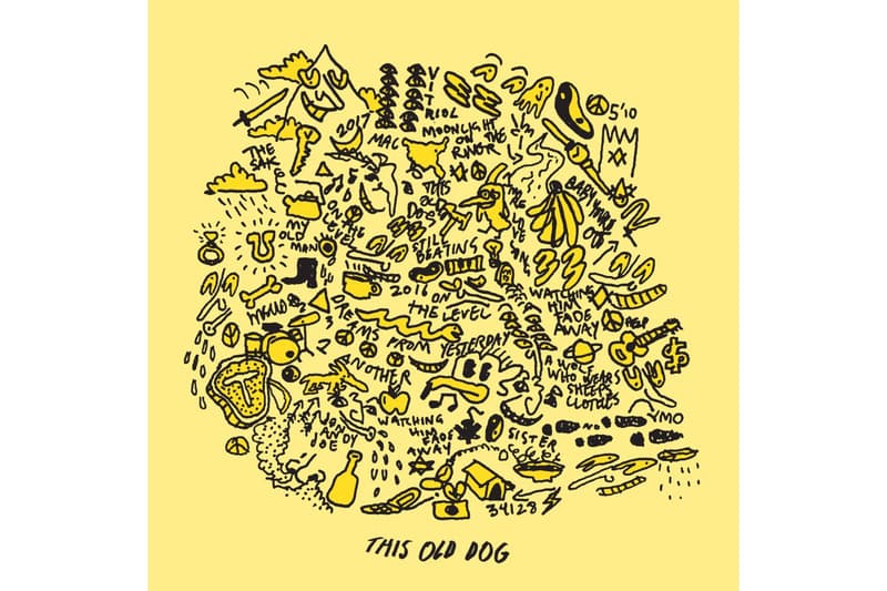 マック・デマルコ Mac DeMarco This Old Dog